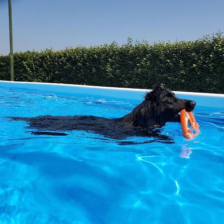 Agriturismo Delizia D'Este Francolino Bagian luar foto