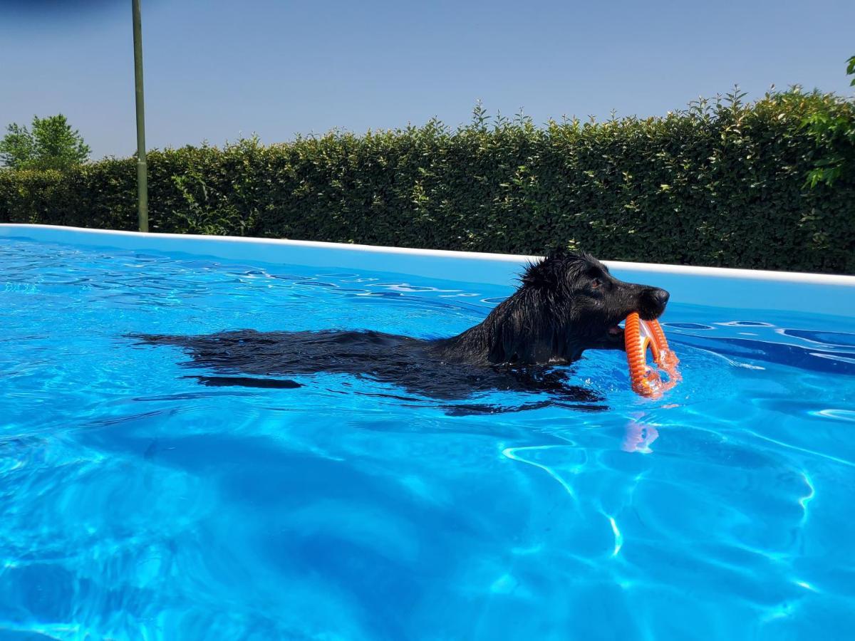 Agriturismo Delizia D'Este Francolino Bagian luar foto